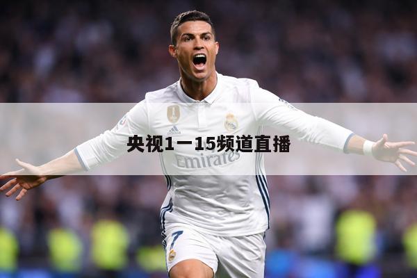 央视1一15频道直播
